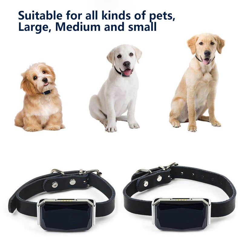 Anti-loss device pet kid older item GPS tracker Petfon N4