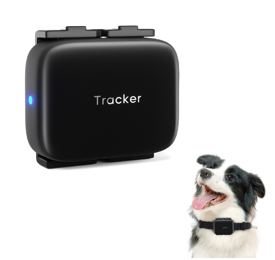 Anti-loss device pet kid older item GPS tracker Petfon N10