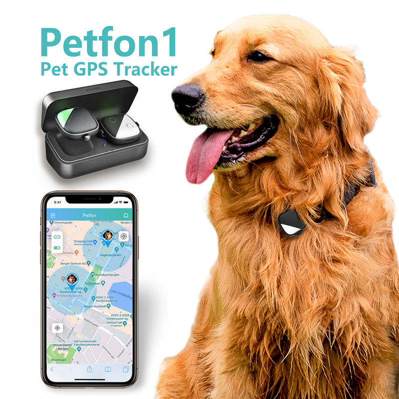 motor fraktion Orientalsk PETFON1 (Smart tracker for 1 dog)