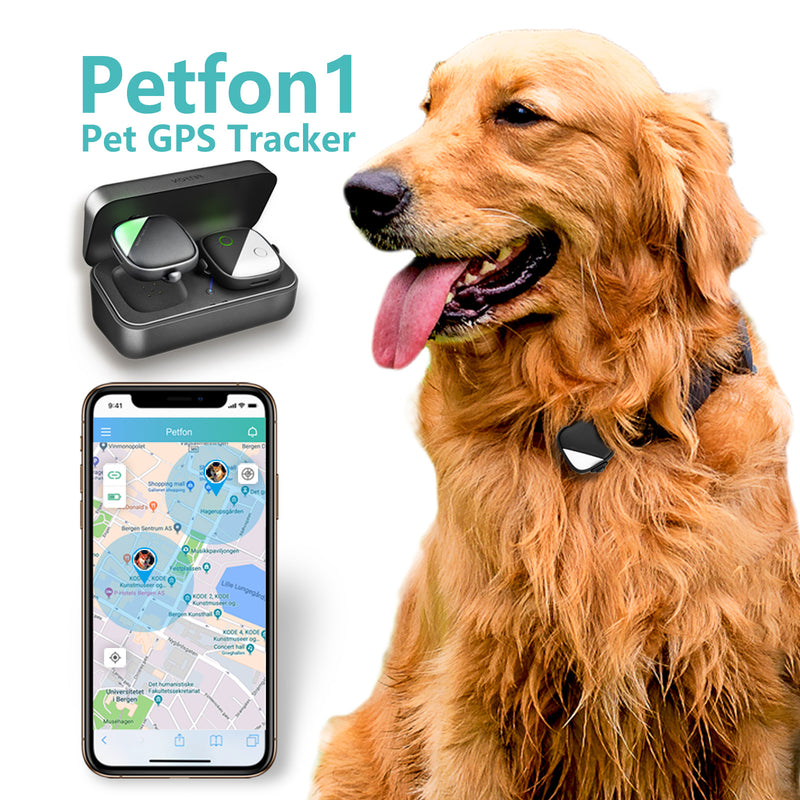 PETFON1 (Smart tracker for 1 dog)